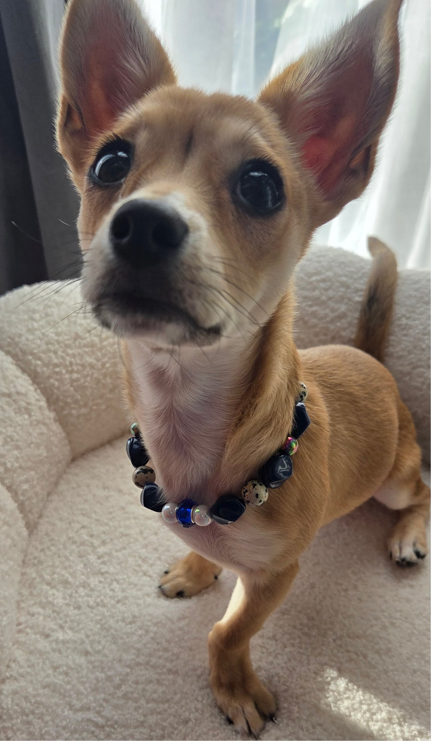 The Little Socialite Necklace